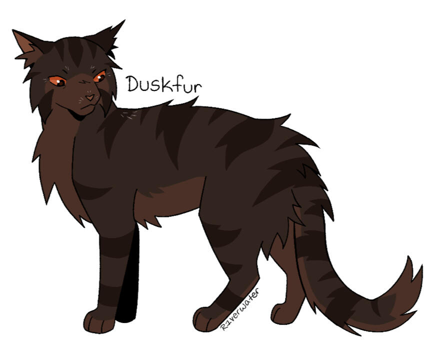 Duskfur from Warriors