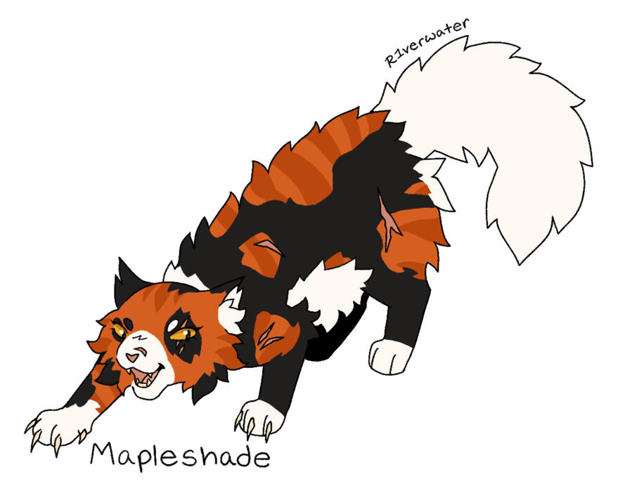 Mapleshade Warriors